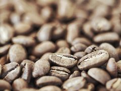 -Bracket Coffee(工体店)