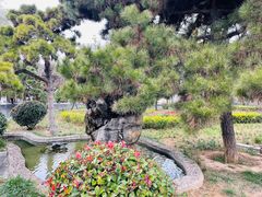 -洛阳古墓博物馆