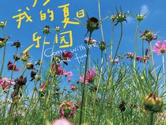 -前小桔亲子创意农场·草莓采摘·露营烧烤