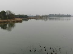 -东湖落雁景区