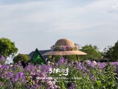 -荷兰花海