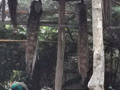 -竹泉村旅游度假区