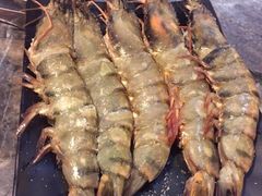 -熊出没日本烧肉放题
