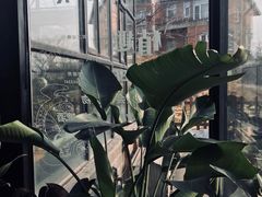 -北马山庄植趣咖啡
