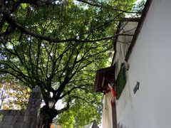 -乌山风景区