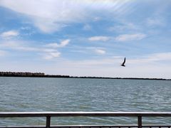 -包头南海湿地景区