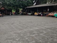 -瑞丽独树成林风景区