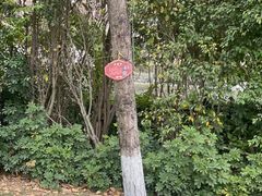 -厦门悦华酒店