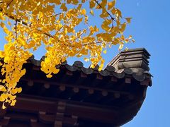 -钱王祠
