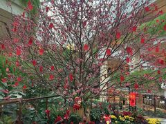 -白天鹅宾馆-宏图府餐厅