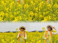 -长洲岛