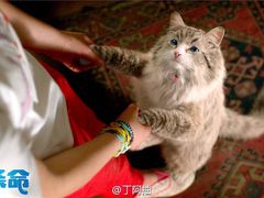 -汇金缪斯影城(八佰伴店)