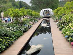 -深圳仙湖植物园
