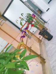 点击看大图 -痘博士广州·全国连锁祛痘机构