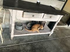 -喜洲吧·江畔老船厂·庭院餐厅(喜临院店)