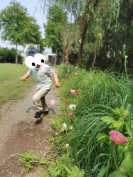-前小桔亲子创意农场·草莓采摘·露营烧烤