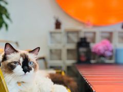 -seeu coffee(江滩店)