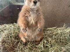 -海合安武汉极地海洋公园