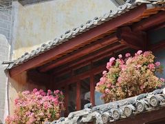 -巍山古城
