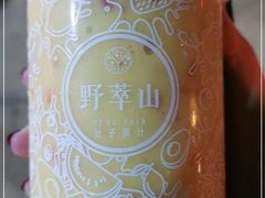 -野萃山·潮汕厚果汁(十亩地店)