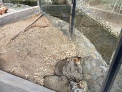 -呀路古热带植物园