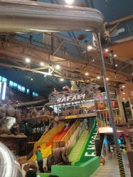 -卡通尼·Safari非洲探索乐园·生日会(金桥国际商业广场店)