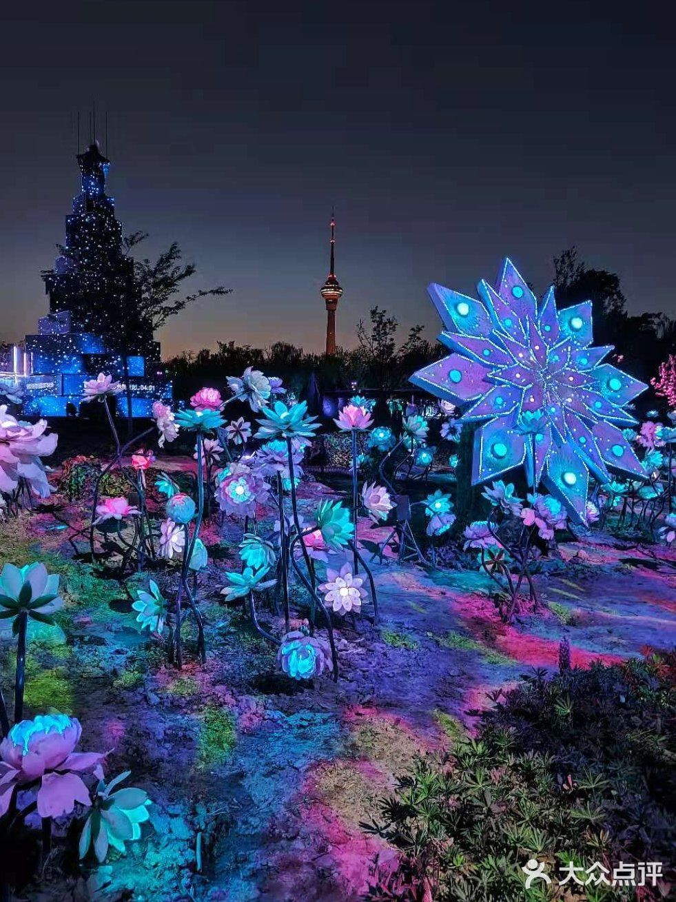 新奇有趣,流光溢彩的玉渊潭夜景灯光秀