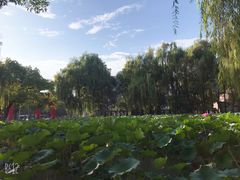 -四川大学(望江校区)