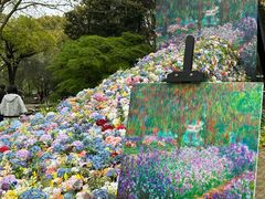 -上海共青森林公园