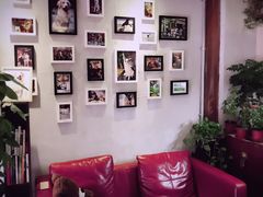 -百好乐宠物友好餐厅(朝外大街店)