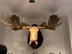 -Abercrombie & Fitch(三里屯太古里店)