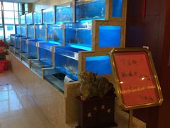 -金鼎大酒店中餐厅