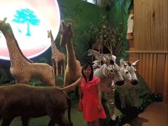 景点-济州岛泰迪熊博物馆