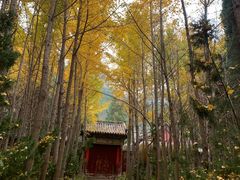 -青龙山生态文化旅游区(慈云寺)