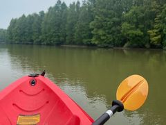 -上海海湾国家森林公园