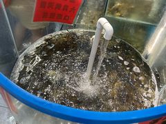 -仙螺岛海鲜自助餐厅(总店)