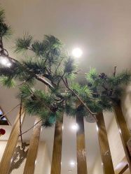 -芳朵美容养生SPA