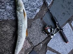 -蓝天路(地铁站)