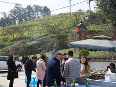 -重庆九凤瑶池海明山庄