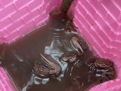 -北海金海湾红树林生态旅游区