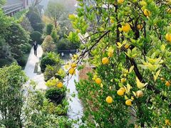 -水月周庄铂尔曼酒店-水月荟中餐厅