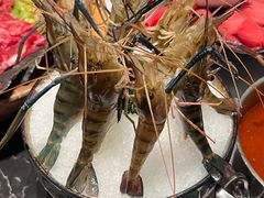 -红鼎豆捞·非遗鲍皇汤火锅(宝丰路店)