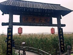 芦苇荡-处女泉风景名胜区