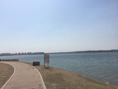 -丁香湖公园