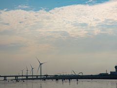 -南汇新城海滩