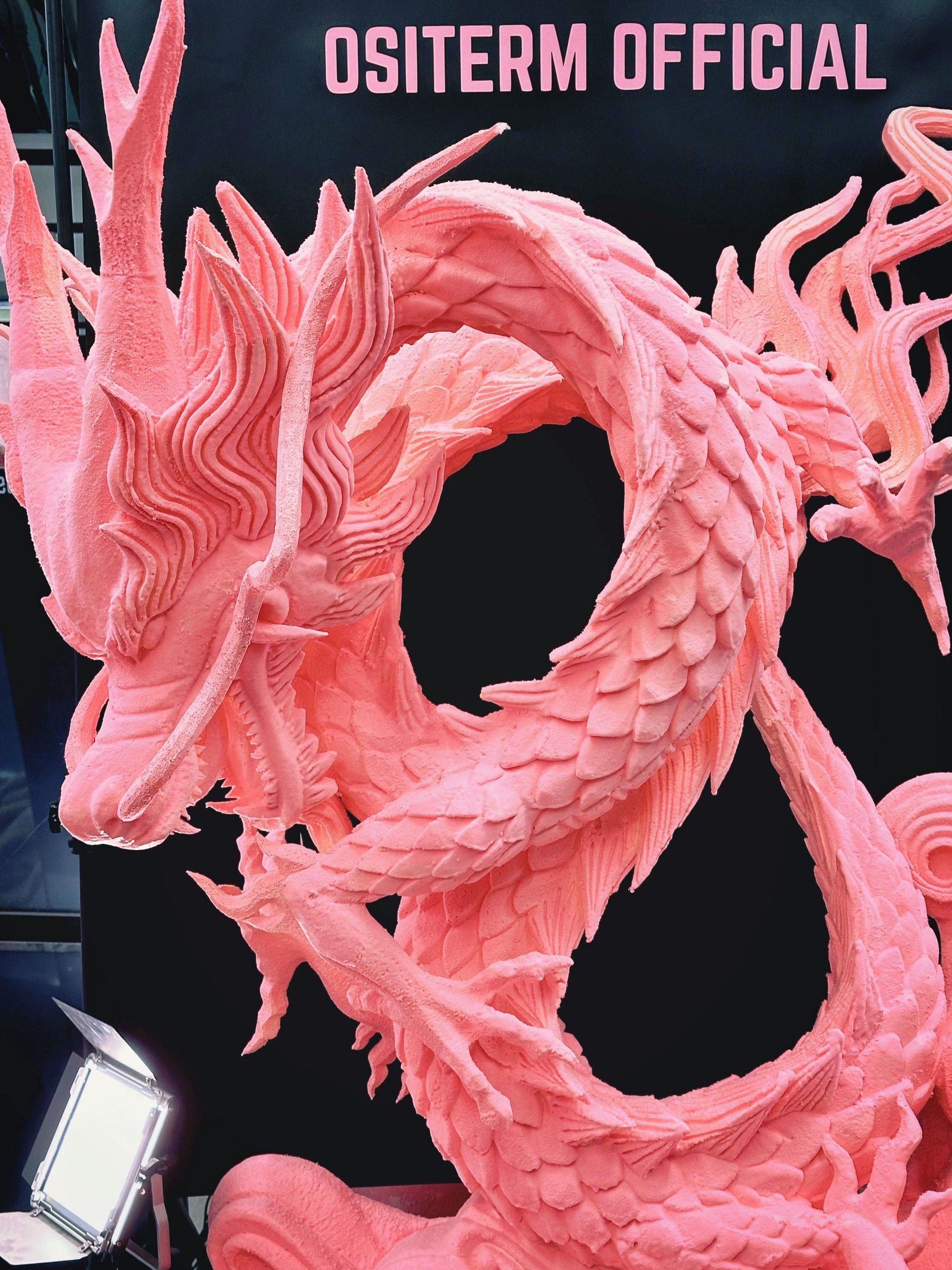 这是谁发明的芭比粉龙❓