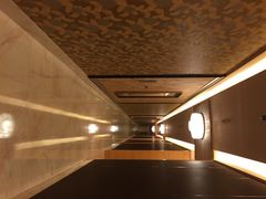 中国元素餐厅-富力威斯汀酒店-中国元素中餐厅(武昌临江店)