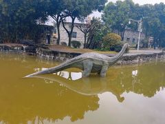 -自贡恐龙博物馆