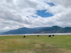 -纳帕海依拉草原