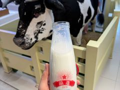 -红星前进面包牛奶公司(君太店)